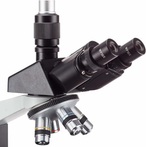 Trinocular compound microscope mechanical stage — photo 3