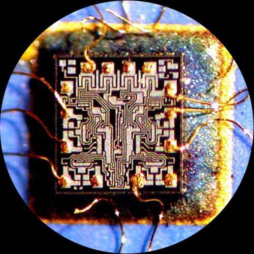 Trinocular Stereo Microscope with LED Ring Light — photo 5