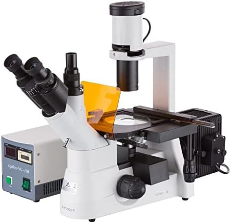 Long working distance fluorescence trinocular microscope