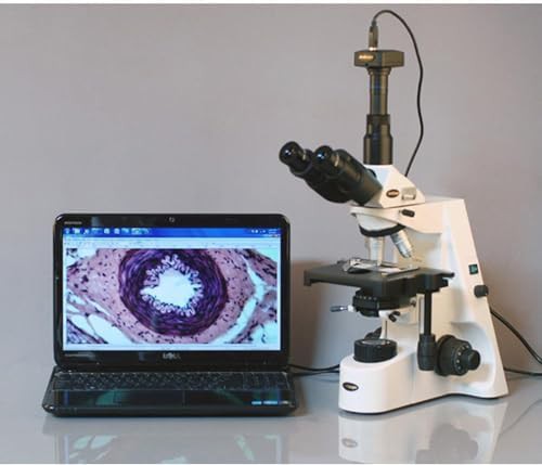 2000x trinocular compound lab microscope — photo 4