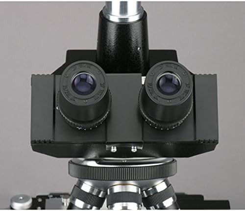 Veterinary Trinocular Microscope with Phase Contrast — photo 5