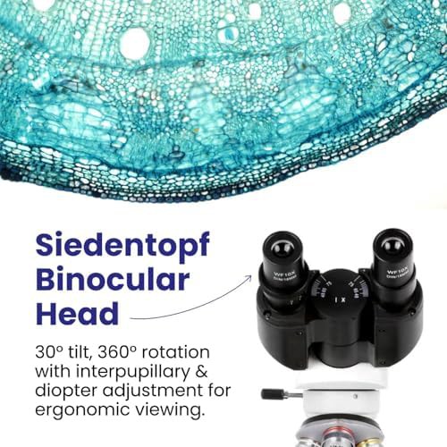Professional LED Binocular Compound Microscope 2500x — photo 4