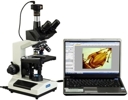 Full size lab digital compound microscope