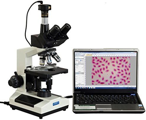 Phase contrast trinocular LED compound microscope