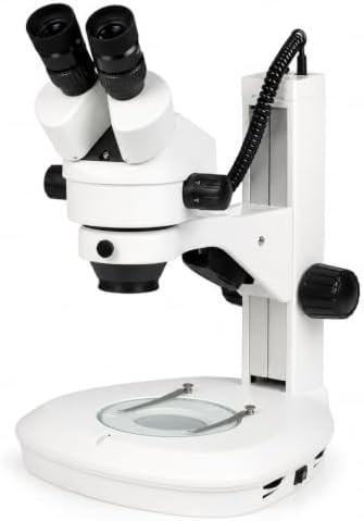 Vision Scientific