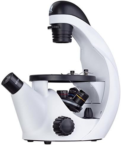 Inverted compound microscope 200x with slides