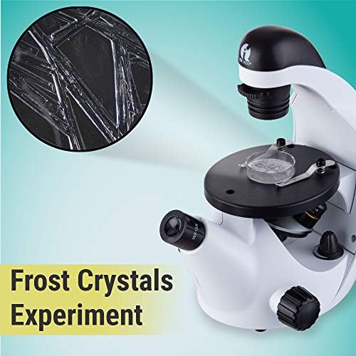 Inverted compound microscope 200x with slides — photo 4