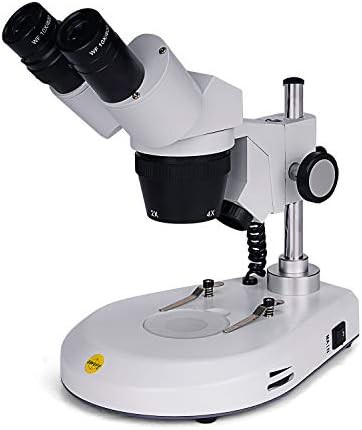 Binocular stereo microscope for coin collection