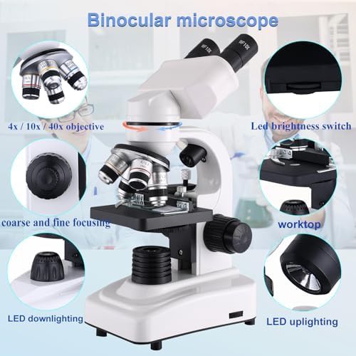 Compound Binocular Microscope with Mechanical Stage — photo 5