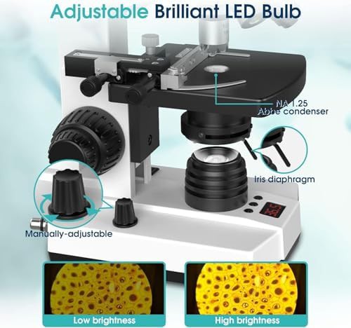 Lab trinocular compound microscope with thermostat stage — photo 5