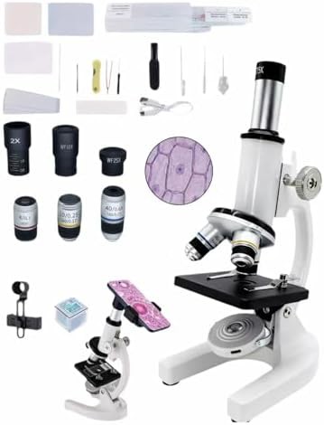 NINGBO ZONE SHINE TECHNOLOGY