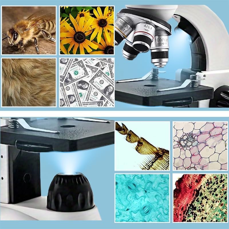 Upgraded binocular microscope with dual light sources — photo 5